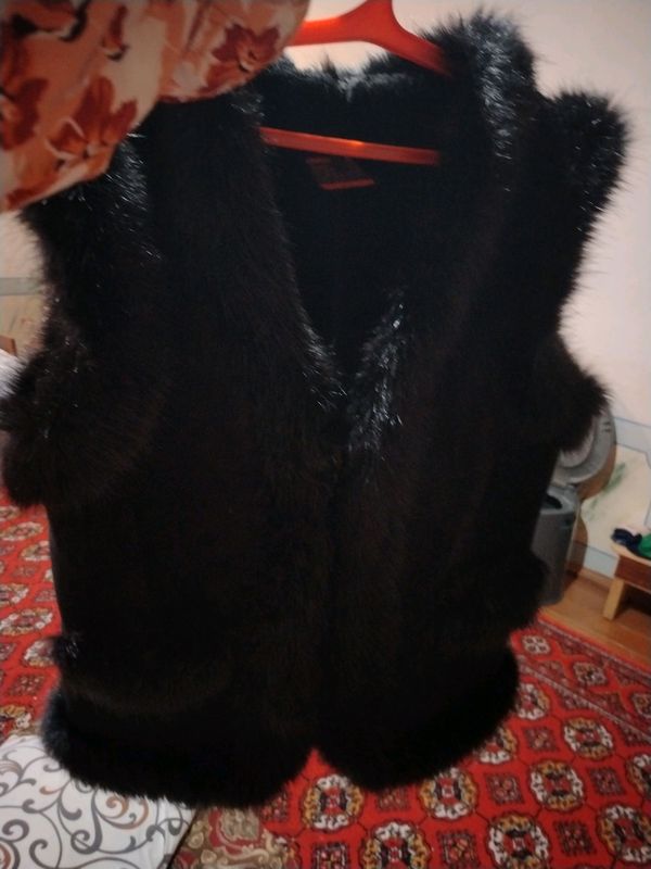 jaket yengsz yungli