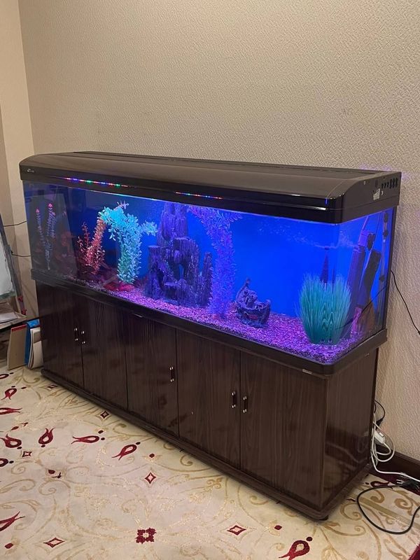 akvarium sotiladi 2metr xitoy zavod akvarium xolati norm butun baliqla akvarium sotiladi 2metr xitoy zavod akvarium xolati norm butun baliqla