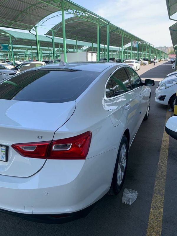 Malibu Nasiya 2019 | Малибу Насия ID- 36 Malibu Nasiya 2019 | Малибу Насия ID- 36