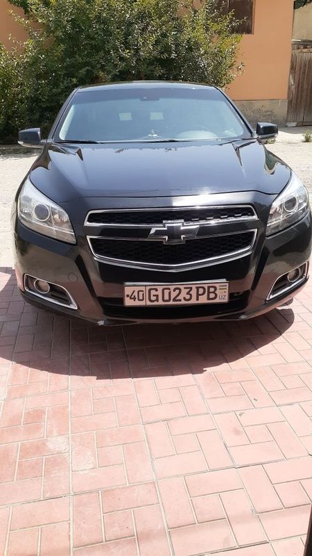 Malibu 1 pazitsa 2013