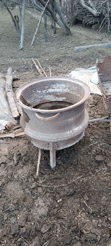 Molga oxir sotiladi Molga oxir sotiladi