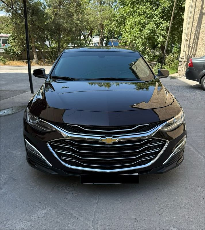 Malibu-2 Premier 2022 ideal Black Burgundi Malibu-2 Premier 2022 ideal Black Burgundi