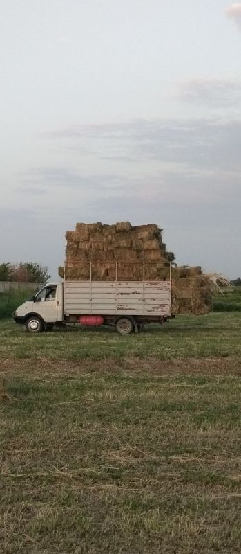 Газель бортовой. Газель бортовой.