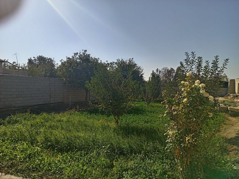 Ховли тезда сотилади