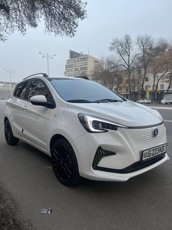 Changan e- star ben ben