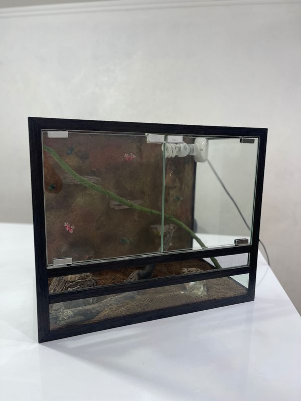 Terrarium | Террариум Terrarium | Террариум