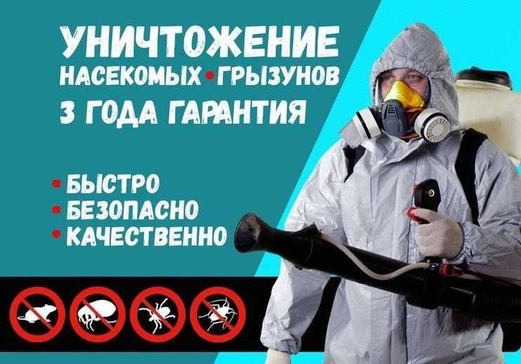 Дезинфекция Dezinfeksiya Dizinfeksiya KLAPA KLOPA KLOP ga qarshi Дезинфекция Dezinfeksiya Dizinfeksiya KLAPA KLOPA KLOP ga qarshi
