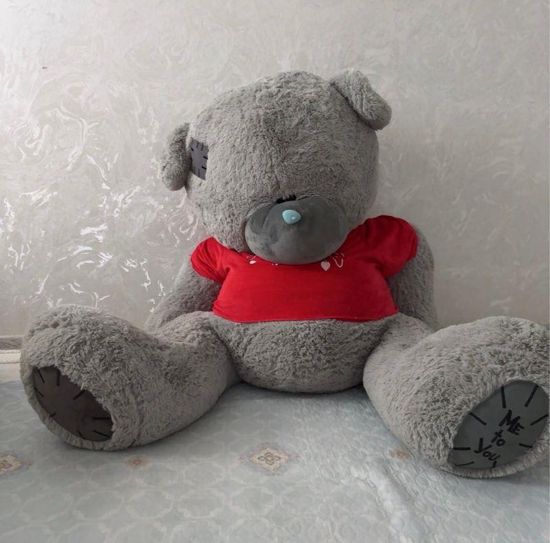 Teddy kattasi dan bitta kichkinasi xolati yangi Teddy kattasi dan bitta kichkinasi xolati yangi