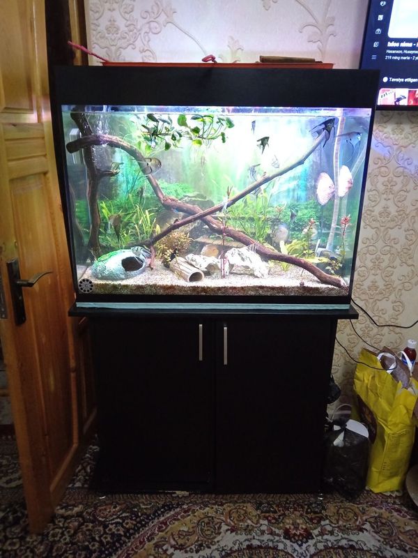 Akvarium podstavkasi bilan sampli 200litr Akvarium podstavkasi bilan sampli 200litr