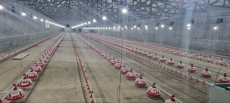 Готовая птица ферма с площадью 1,27 га Готовая птица ферма с площадью 1,27 га