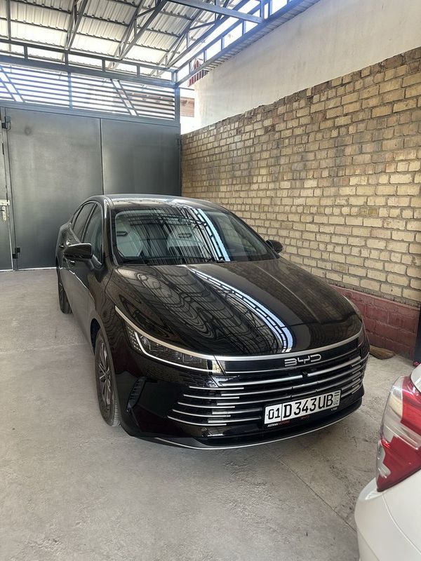 BYD Chazor 1 позиция BYD Chazor 1 позиция