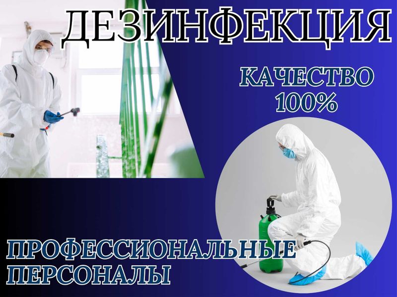 Dezenfeksiya Дезинфекция dezinfeksiya клоп tarakan таракан эффект 100% Dezenfeksiya Дезинфекция dezinfeksiya клоп tarakan таракан эффект 100%