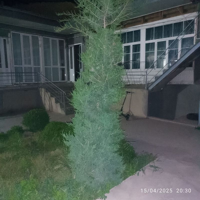 Елка 3 метра в хорошем состоянии Елка 3 метра в хорошем состоянии