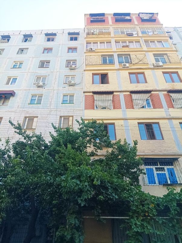 Сдаю в аренду квартиру 3/7/9/ тузел 3 хороший квартира Сдаю в аренду квартиру 3/7/9/ тузел 3 хороший квартира