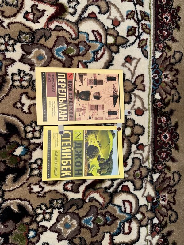 Продаю книги : «О мышах и людях» и «Замечательная физика» Продаю книги : «О мышах и людях» и «Замечательная физика»