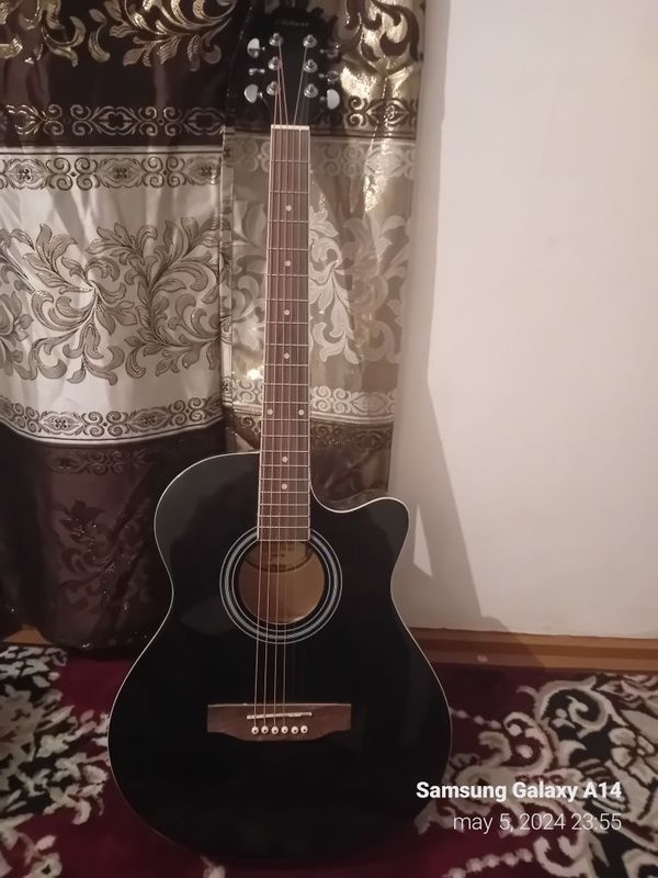 Gitara Elitaro Accustic