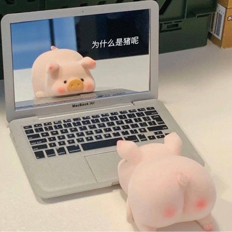 Зеркало в виде MacBook