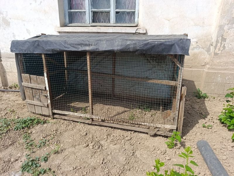 Tovuq hona katak 1 ga 2 mr Tovuq hona katak 1 ga 2 mr