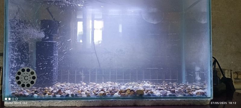 Akvarium sotiladi 36L 120 ming faqat o'zi 4 dona boliq bonus