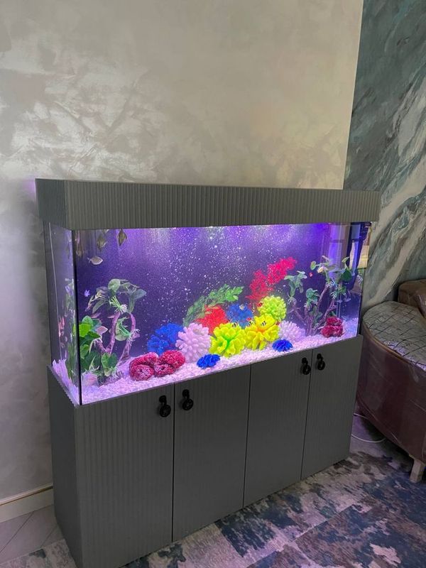 Akvarium zakas asosida tayyorlab beramiza Akvarium zakas asosida tayyorlab beramiza