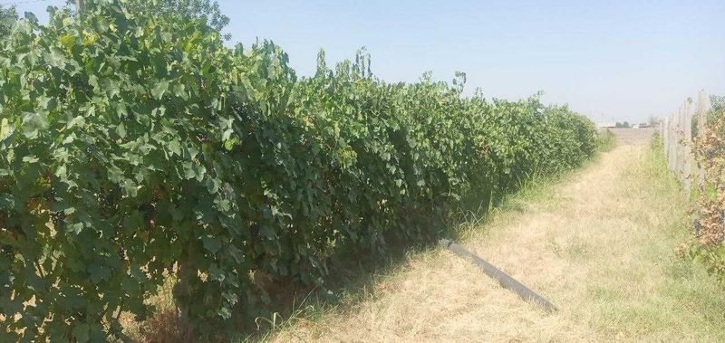 Продам Дачу 30 соток Продам Дачу 30 соток