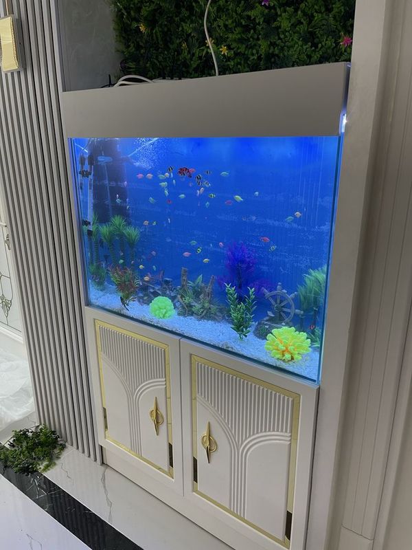 Zakazga Akvarium qilib beramiza Zakazga Akvarium qilib beramiza