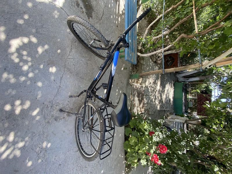 Velosiped skarasnoy uslibida qilingan oddiy velosiped