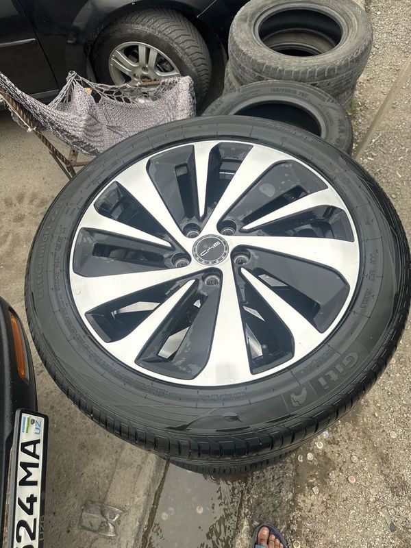 BYD champion 19 diska balon BYD champion 19 diska balon