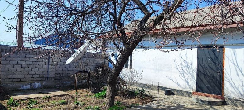 Продается Дом в Чирчике (Ориентир улица Хает Гули) Продается Дом в Чирчике (Ориентир улица Хает Гули)