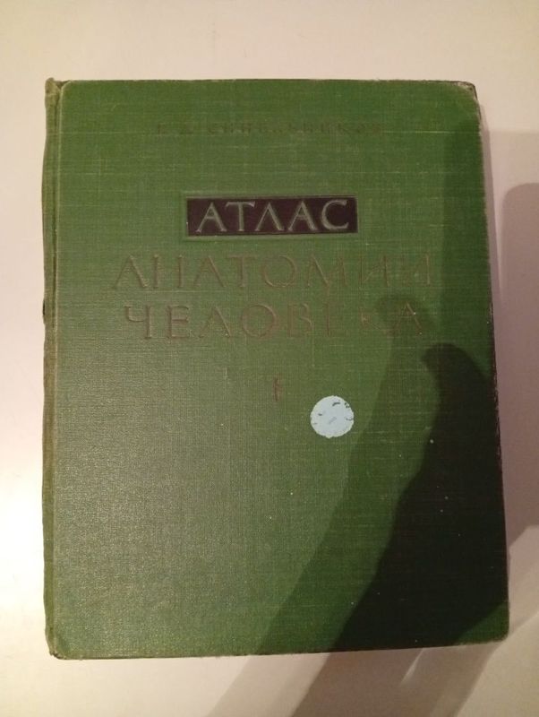 Атлас Анатомии Человека Атлас Анатомии Человека