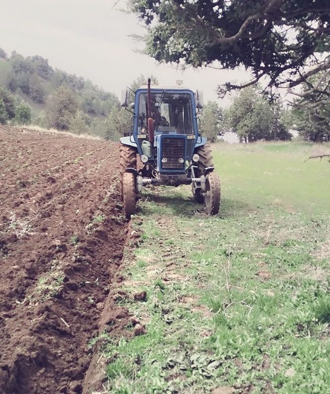 Traktor kafolati bilan Traktor kafolati bilan