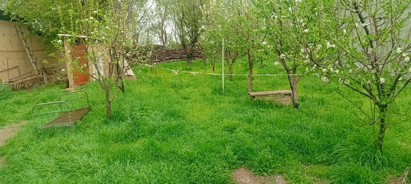 срочно сотилади, 5 сотиг, сотигинт 15,000$ дан срочно сотилади, 5 сотиг, сотигинт 15,000$ дан