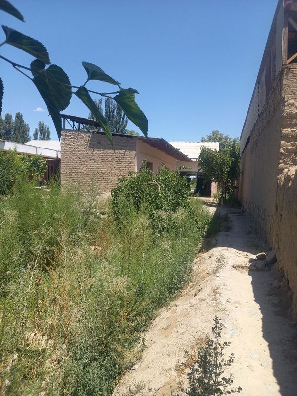 Navoiy viloyati karmana tumani
