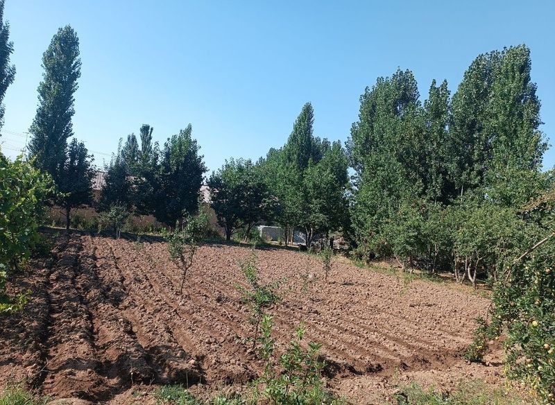 DACHA uchun yer SOTILADI srochna!!!