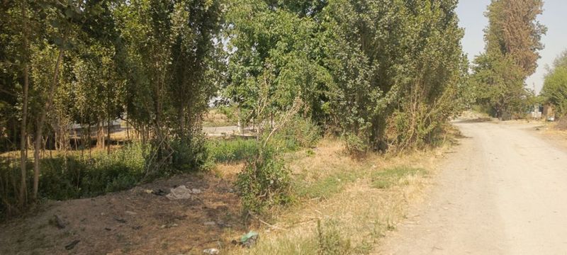 Ер сотилади 40 сотих икки томонлама йол 13дан сотих янги Озбекистонда