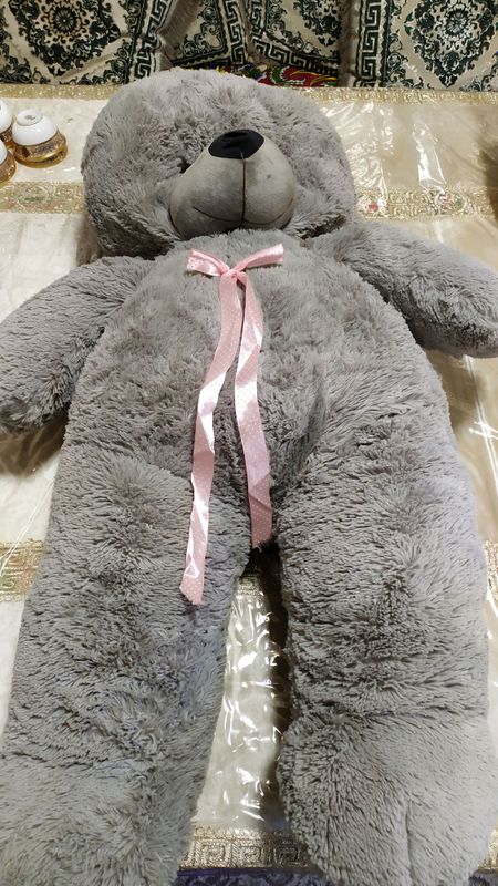 TEDDY