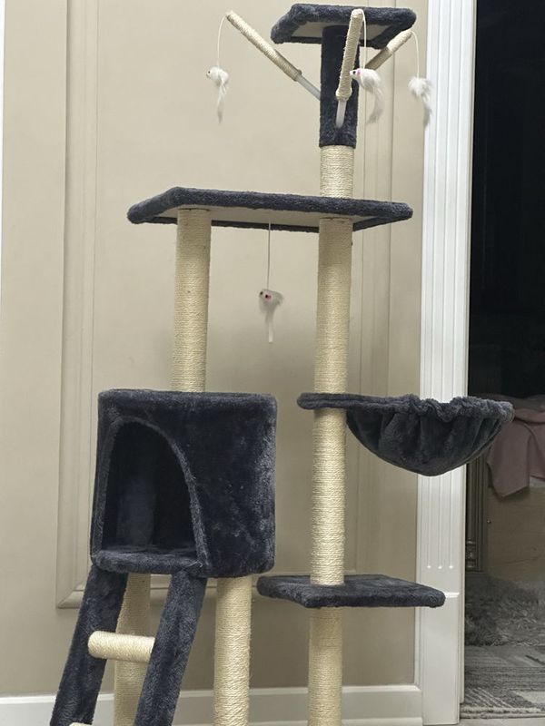 Домик для котят Домик для котят
