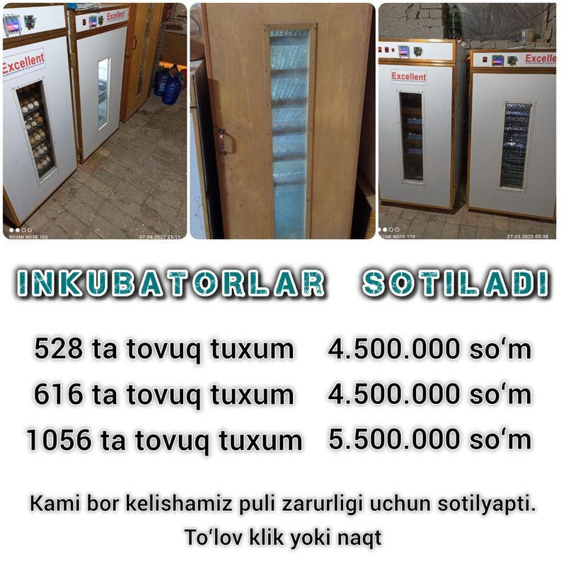 INKUBATOR sotiladi 616 ta tovuq tuxum