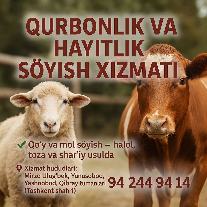 Кассоб хизмати, Qassobchilik, Uslugi myasnik Кассоб хизмати, Qassobchilik, Uslugi myasnik
