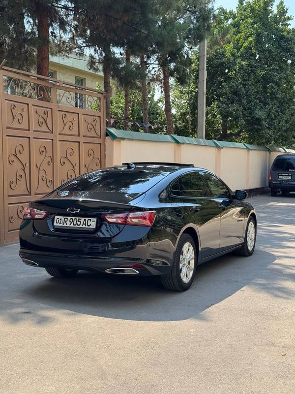 Malibu 2 xl 2023 tozza Malibu 2 xl 2023 tozza