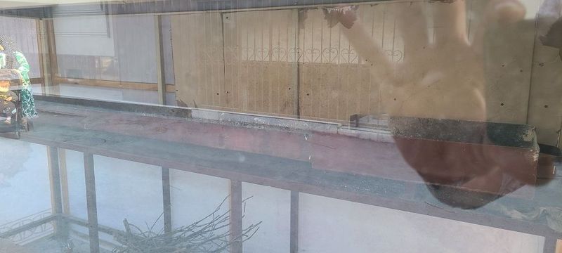 Kavob uchun butka Kavob uchun butka