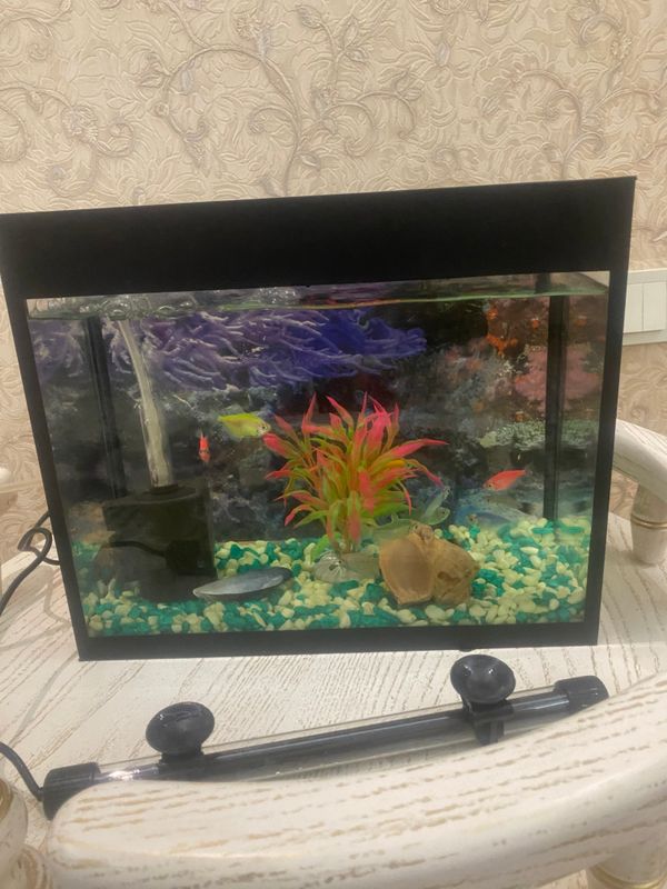 akvarium 12litrlik akvarium 12litrlik