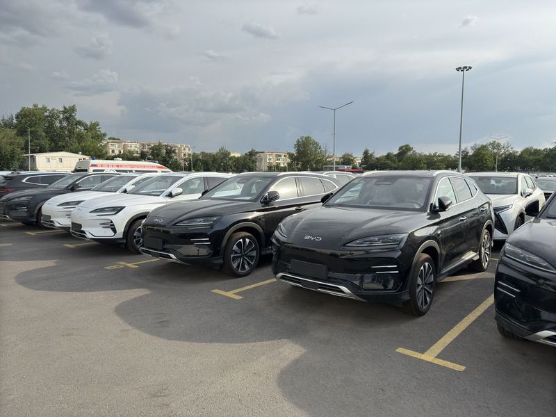 Byd chempion smart Byd chempion smart