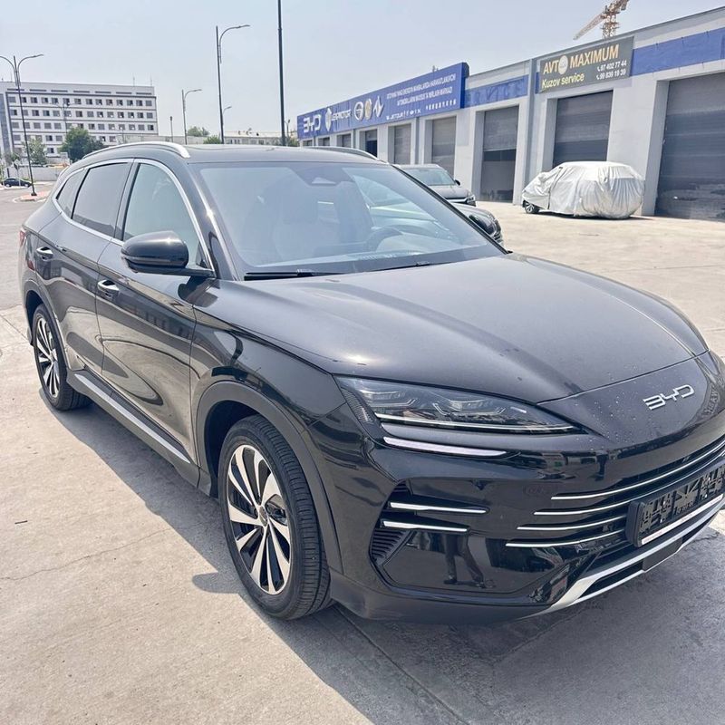 Byd champion Hybrid gibrid Byd champion Hybrid gibrid