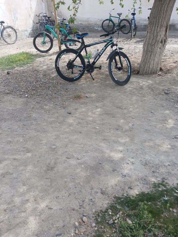 Spartivni velig sotiladi Spartivni velig sotiladi