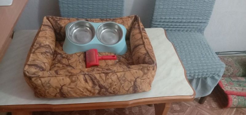 Собачий матрас, миски, расческа Собачий матрас, миски, расческа