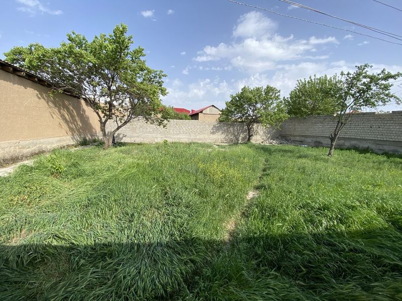 Samarqand shaxri samarqand ziyokorlar Mfy.ziyokor 83