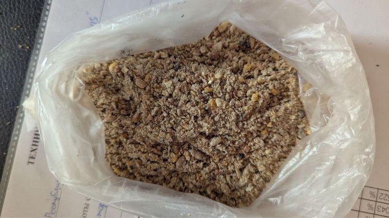 Комбикорм для кур несушек