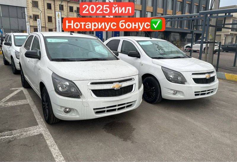 Cobalt midnayt 2025 ‼️ Cobalt midnayt 2025 ‼️