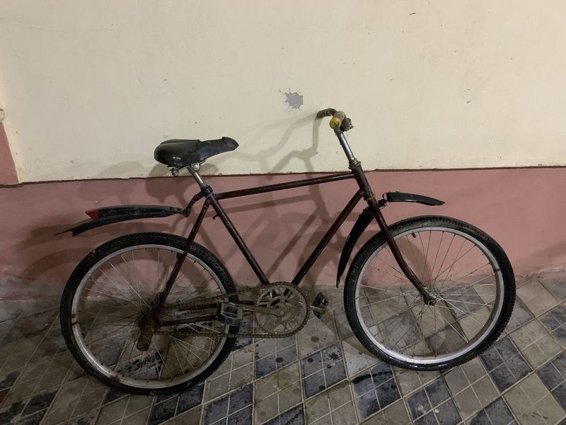 Velik sotiladi 450.000ming kami bor